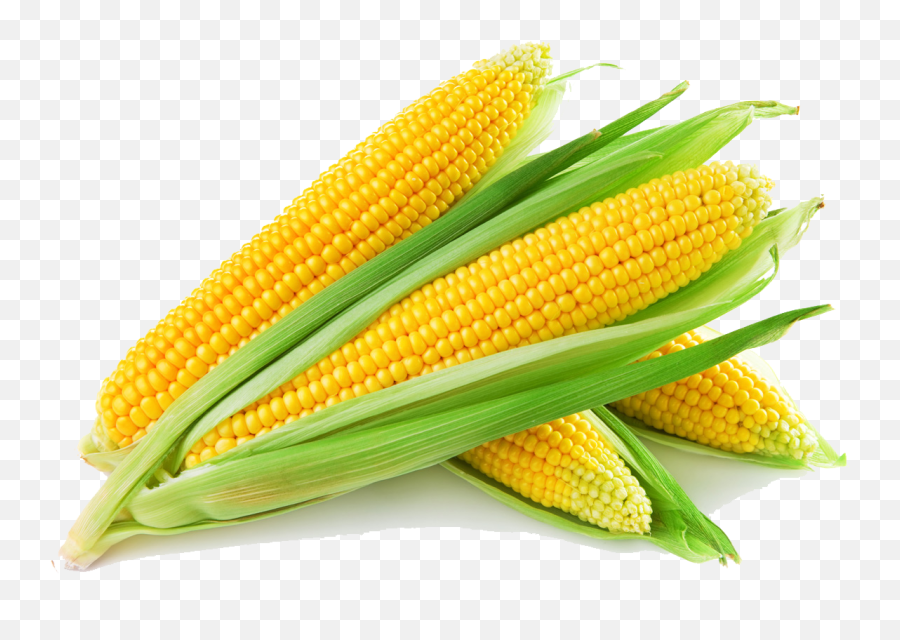 Corn Clipart Corncob Corn Corncob - Sweet Corn Emoji,Corncob Emojis