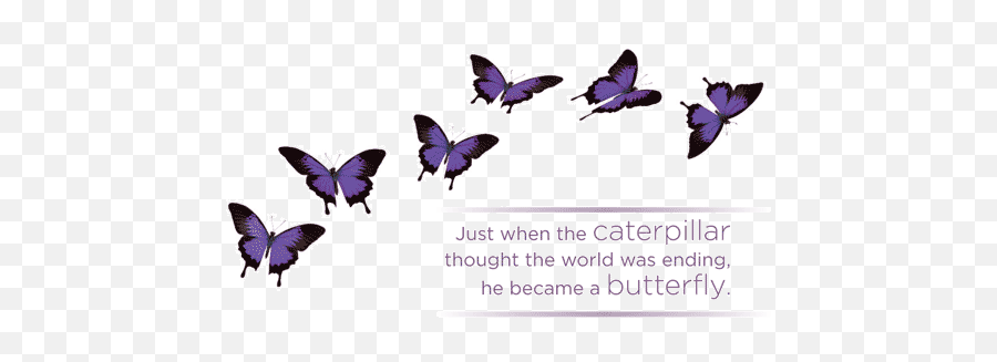 Just When The Caterpillar Thought The - Caterpillar Changing To A Purple Butterfly Emoji,Can Luna Moths Feel Emotions