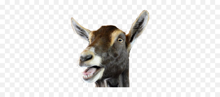 Popular And Trending Kambing Stickers On Picsart Emoji,Mountain Goat Emoji