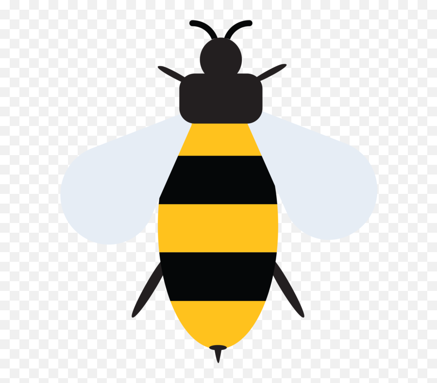 All Projects - Nathan Reiff Emoji,Bee Emoji