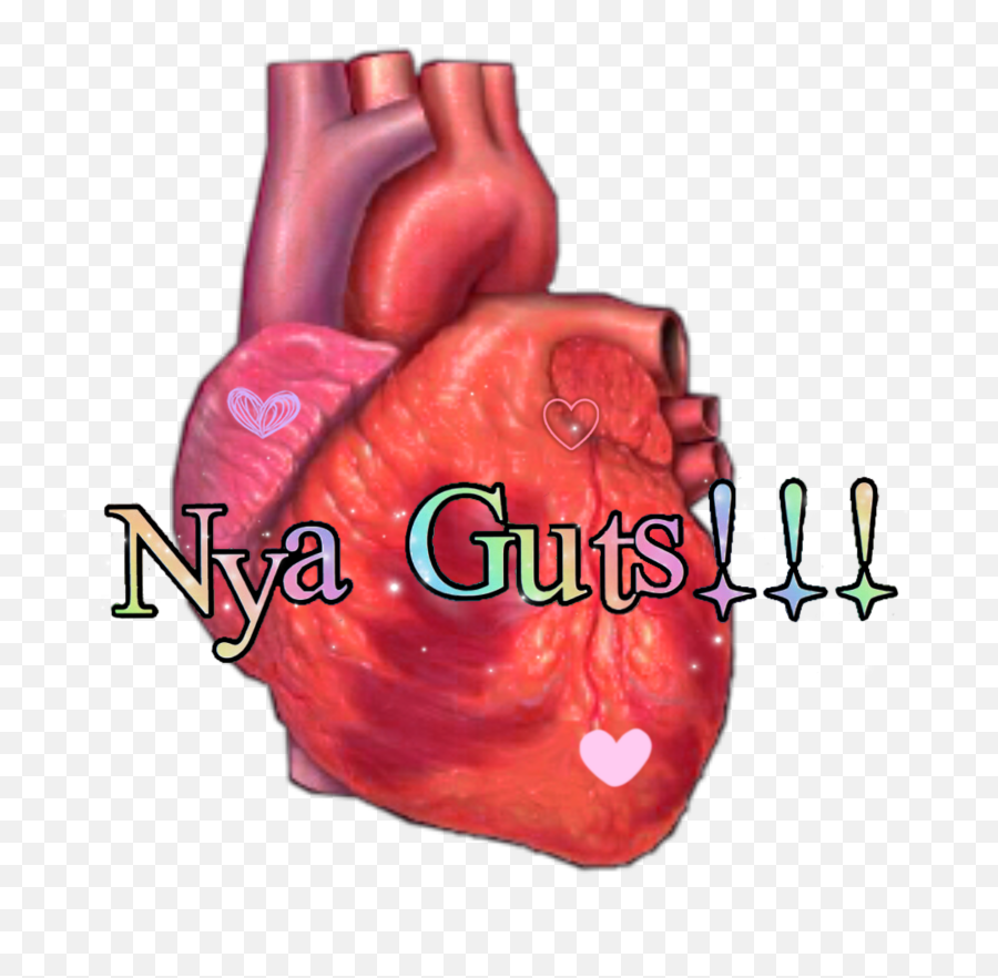 The Most Edited Organe Picsart Emoji,Anatomy Heart Emoji