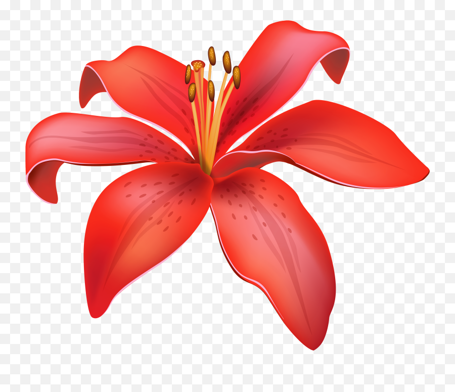 Blue Lily Clipart Jpg - Real Tropical Flower Png Emoji,Lily Pad Emoji
