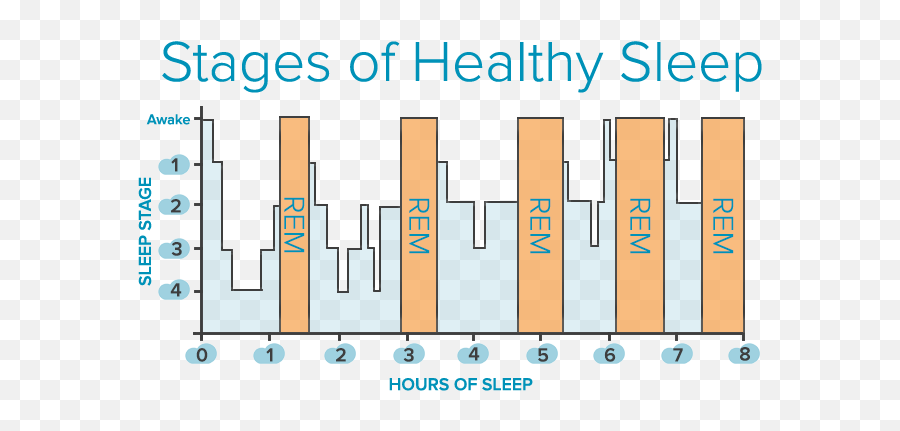 General Psychology Exam 2 Diagram - Stage Of Sleep Is Best To Wake Up Emoji,Psychology Emotion Chart