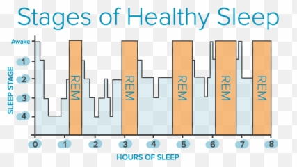 General Psychology Exam 2 Diagram - Stage Of Sleep Is Best To Wake Up Emoji,Psychology Emotion Chart