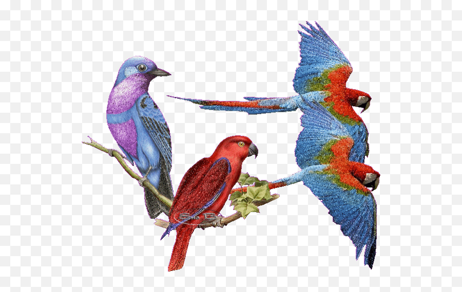 Top Beautiful Birds Stickers For - Flying Beautiful Bird Gif Emoji,Flying Bird Emoticon