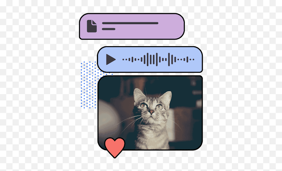 Private Voice Video Calls Apk Download - Domestic Cat Emoji,Messenger Emotions Download