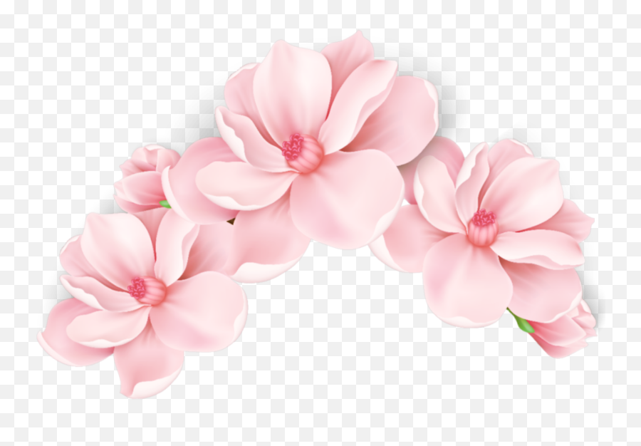 Flowers Flores Blossom Spring Sticker By Ana Abece - Transparent Background Pink Flower Cartoon Emoji,Emojis Femenino Hd