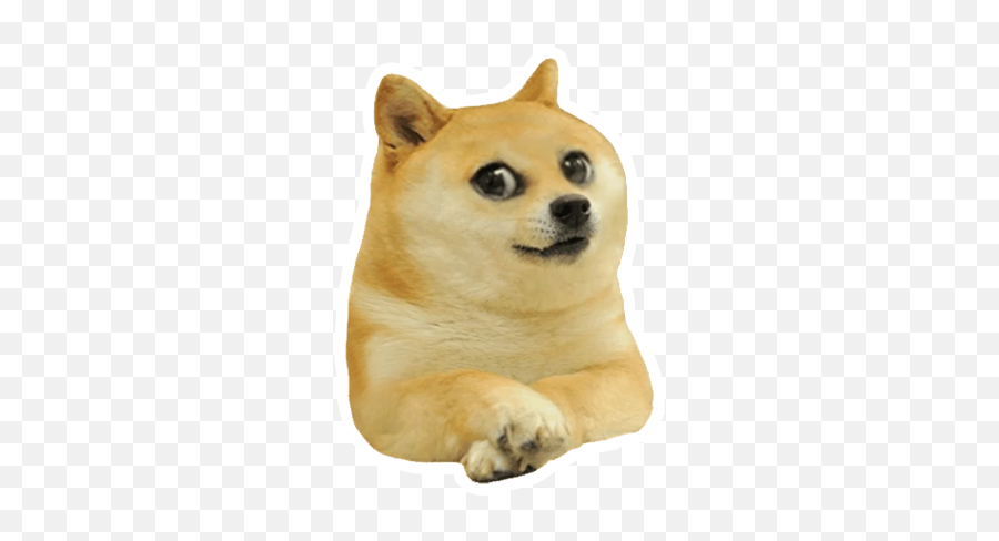 The Doge Stickers - Kid Doge Happy Png Emoji,Funny Doge Emojis For Iphone