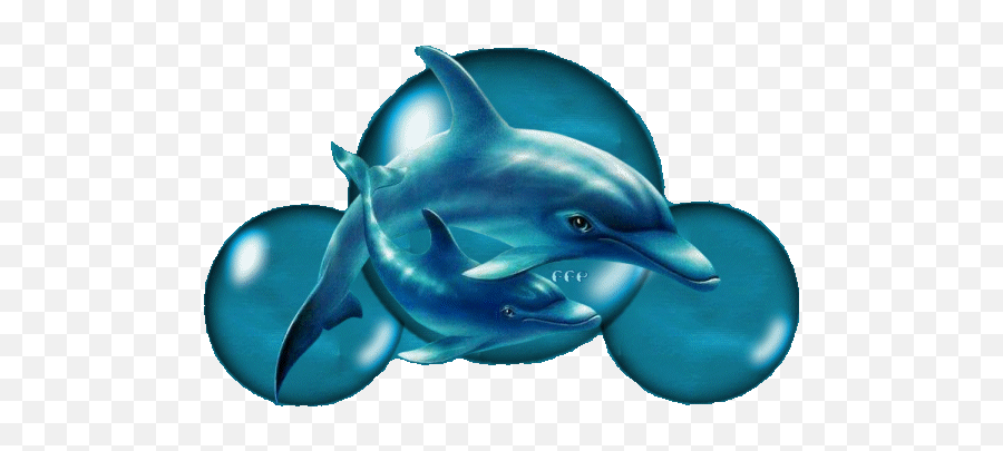 Dolphins - Guten Morgen Gruß Emoji,Dolphin Emotions
