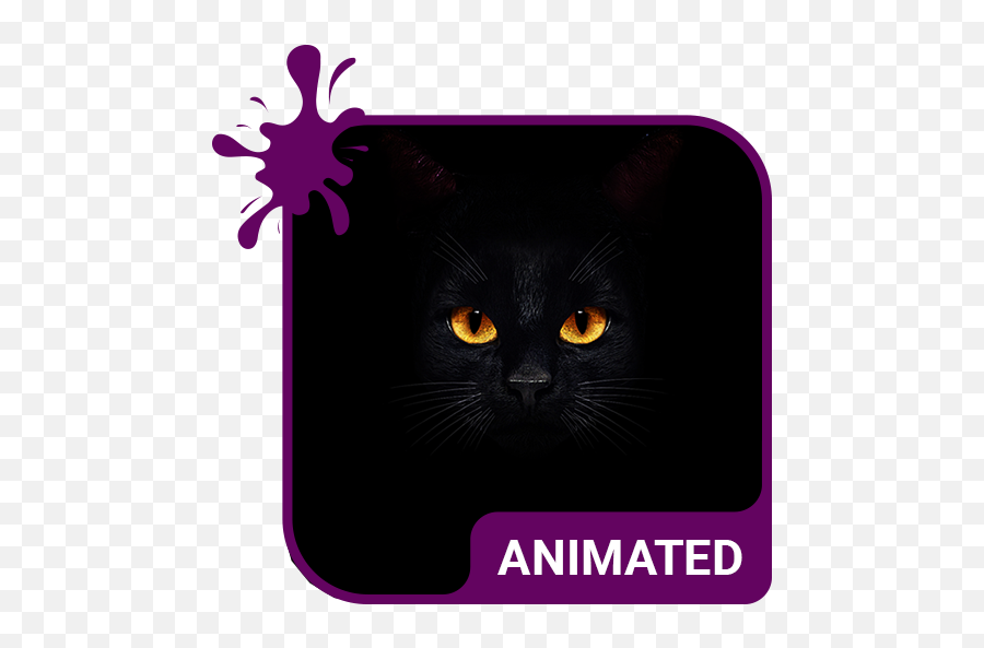 Dark Cat Animated Keyboard Live Wallpaper - Apps On Google Emoji,Cat Kyboard Emoticons