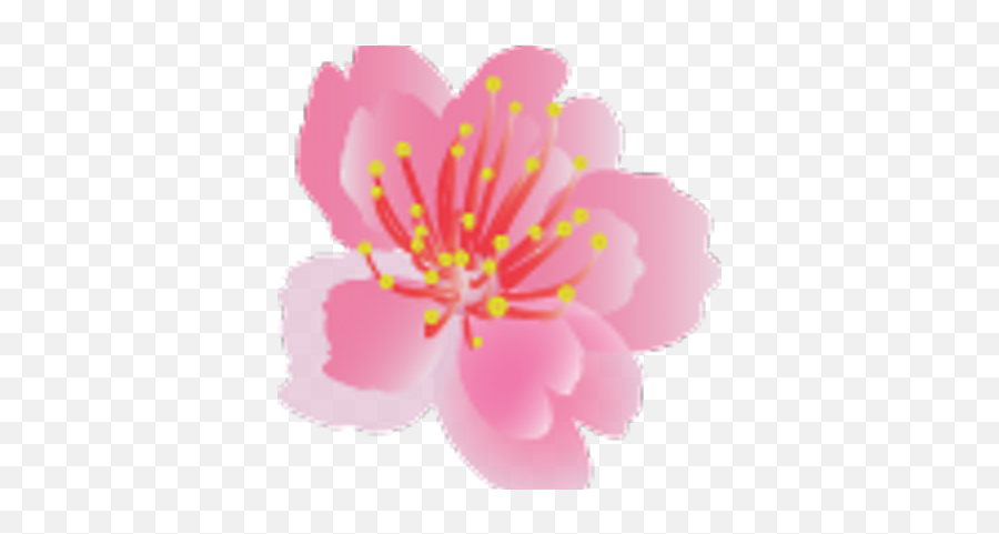 Sayaka Mori On Twitter Numerous Snowfall Records Have Emoji,Sakura Blossom Emoji