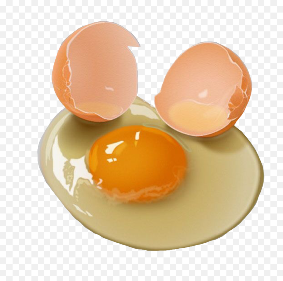 Разбитое яйцо. Разбитое яйцо на белом фоне. Разбитые яйца. Яичный желток.