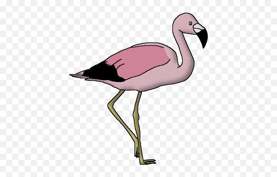 Andean Flamingo - Long Emoji,Flamingo Emoji