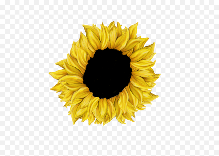 Bio Jeanette Margaret Emoji,Sunflowers Emotion