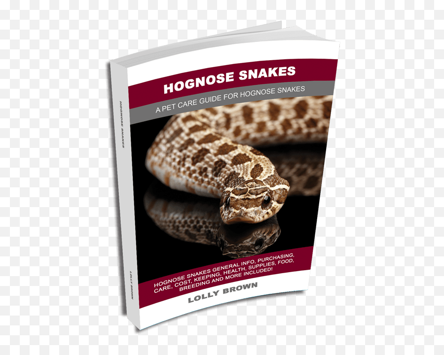 Burmese Python Landing Burmese Python - Hognose Snake Emoji,Ball Lythons Emotions