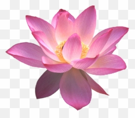 Lotus Flower Of Life Png Here You Can - Mahavatar Babaji In Lotus Emoji,Work Complite Emoticons