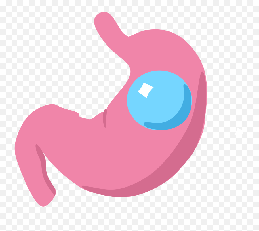 Download Hd Gastric Balloon Icon - Stomach Icon Transparent Transparent The Stomach Clipart Emoji,Emoji With Butterflies In Stomach