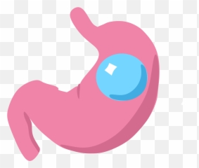 Download Hd Gastric Balloon Icon - Stomach Icon Transparent Transparent The Stomach Clipart Emoji,Emoji With Butterflies In Stomach