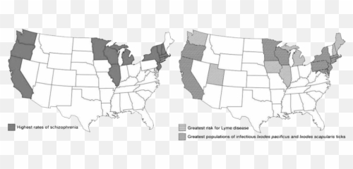 Schizophrenia And Schizoaffective Disorders Treatment Amen - Us Map Animated Emoji,The Area Of The Brain Where Your Emotions Live
