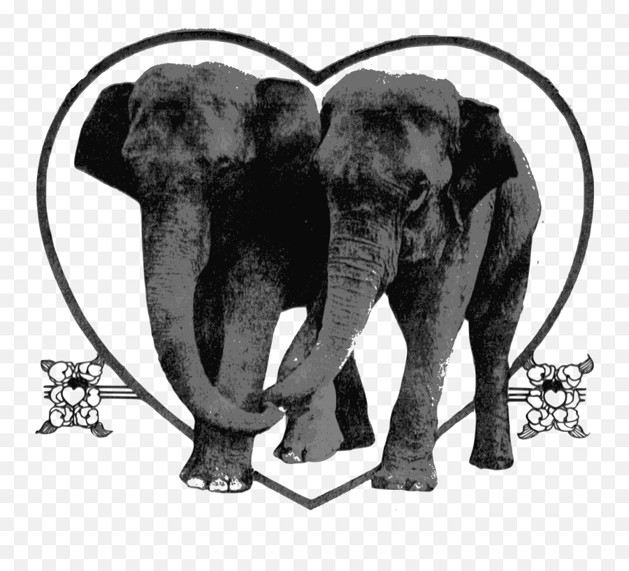 Elephants Heart Lovers Drawing Free Image Download - Indian Elephant Festival Drawings Emoji,Elephants Emotions Oregon