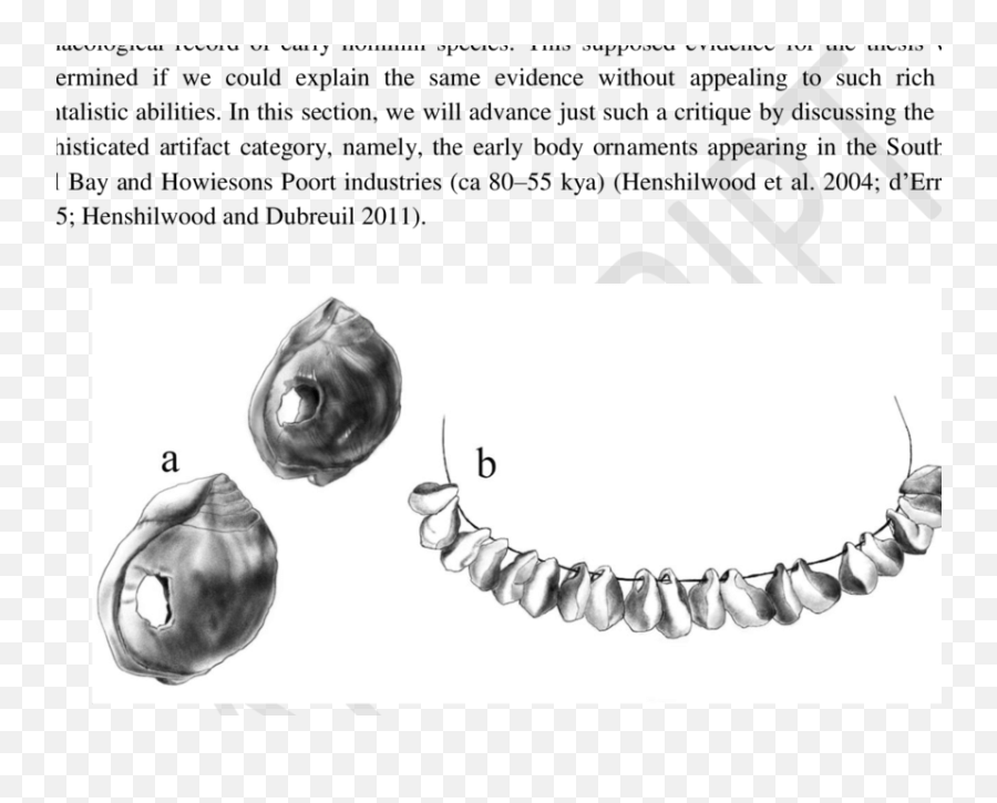 Nassarius Kraussianus Marine Shell - Language Emoji,Hareis Emotion Archaeoligy