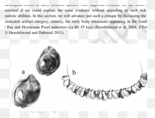 Nassarius Kraussianus Marine Shell - Language Emoji,Hareis Emotion Archaeoligy