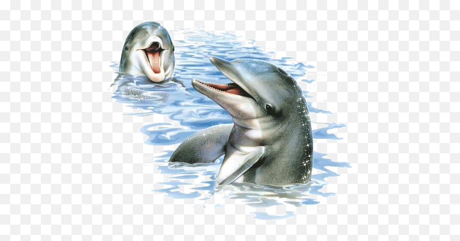 Pin - Dolphin Clipart Gif Emoji,Dolphin Emotions