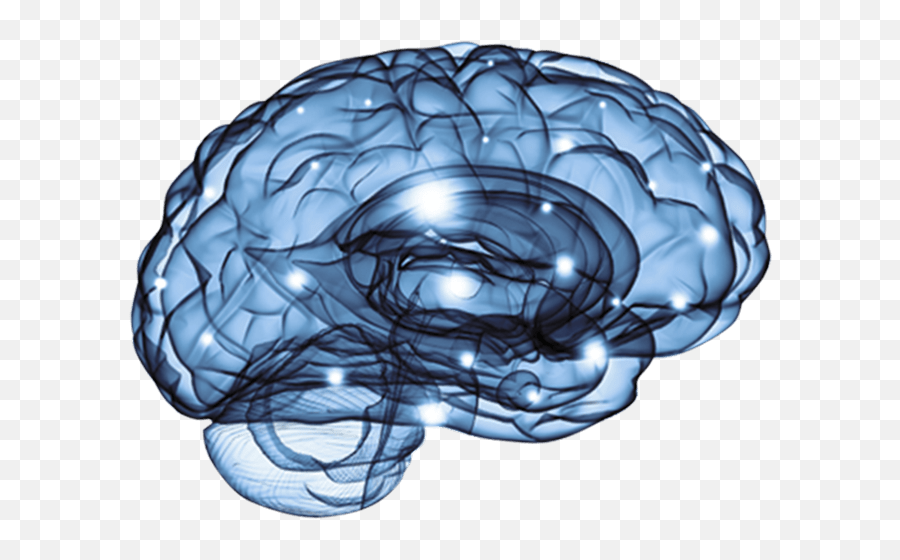 How Pathwaves Works - Pathwaves Neuro Health Emoji,Emotions Connected With Eeg Waves