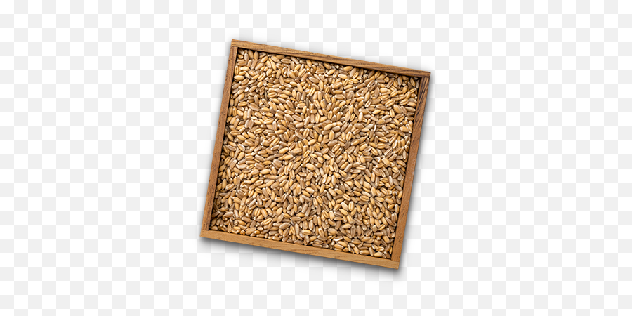 Wheat - Columbia Grain Emoji,Grain Bread Pasta Emojis