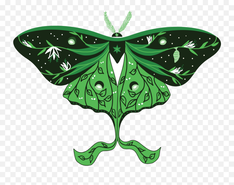 Moonbridge Logo Emoji,Can Luna Moths Feel Emotions