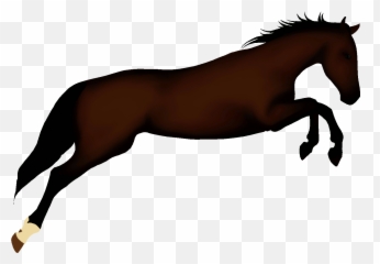 Horse Animated Gif Clipart Best Moving Pictures Animal - Animated Running Horse Gif Emoji,Horse Emojis