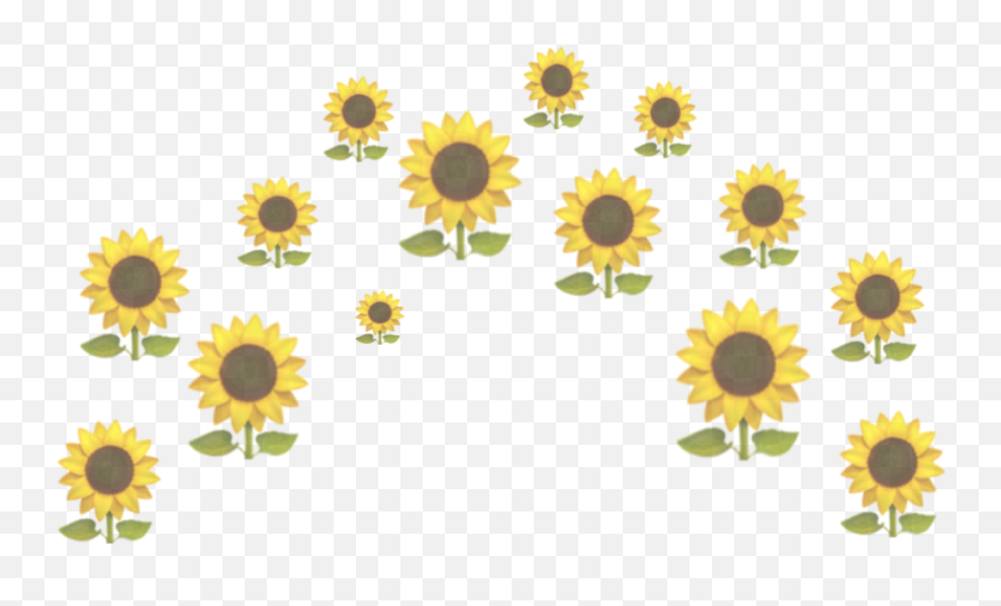 Sunflower Little Flower Sun Funny Tumblr Yellow - Flower Crown Emoji Png Yellow,Funny Emoji Tumblr