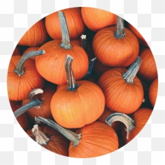 Natural Parenting Expo - Pumpkins 4k Emoji,Pumpkin Outline For Emotions