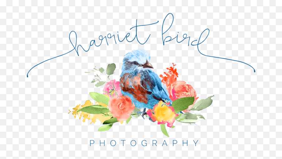 Harriet Bird Photography Surrey Wedding Photographer - Eastern Bluebird Emoji,Bird Emotions