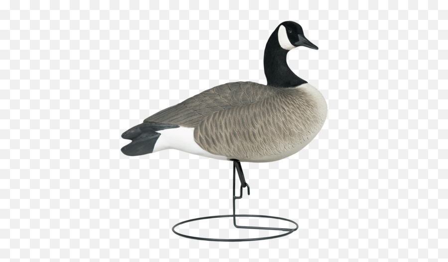 Rugged Series Full Body Canada Goose Decoys - Flocked Head Canada Goose Emoji,Canadian Goose Emoticon