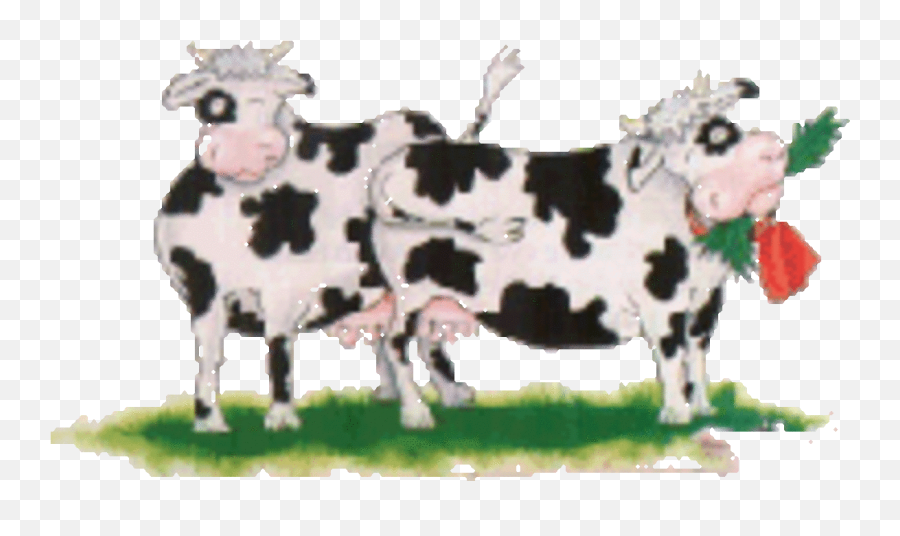 Cow Facts And Cow Trivia - Hubpages Emoji,Emily Pocine Emotions In Others