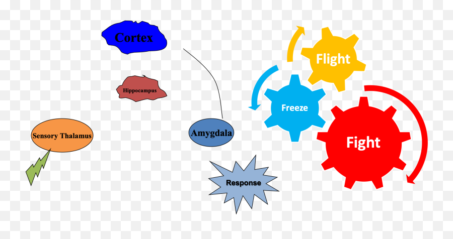 Trauma And The Brain U2014 Boost Counseling Emoji,Does The Limbic, Cortex, Neocortex Or The Neothalmus In The Brain Create Emotions In The Brain