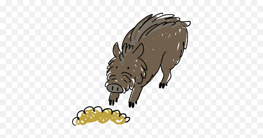 Funky Forest Animals Baamboozle Emoji,Boar Emoji