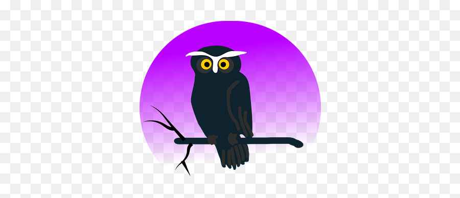 600 Free Uhu U0026 Owl Images Emoji,Ovo Owl Emoji
