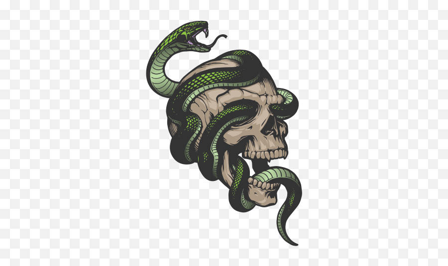 Snake Png Clipart - Green Snake Round Snake Wrapped Around Skull And Snake Png Emoji,Snakes Emoji