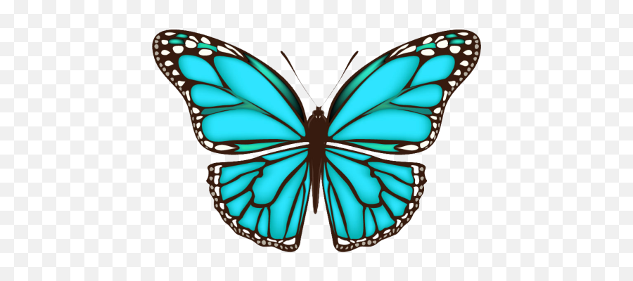 Como Pintar Mariposas Arte De Mariposa Pinturas - Different Color Butterfly Emoji,Emoticon De Taparse Los Ojos
