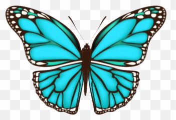 Como Pintar Mariposas Arte De Mariposa Pinturas - Different Color Butterfly Emoji,Emoticon De Taparse Los Ojos