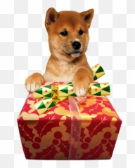 Animal Communication And Reiki - Transparent Background Cute Dogs Png Emoji,Emotions Animals Communicate