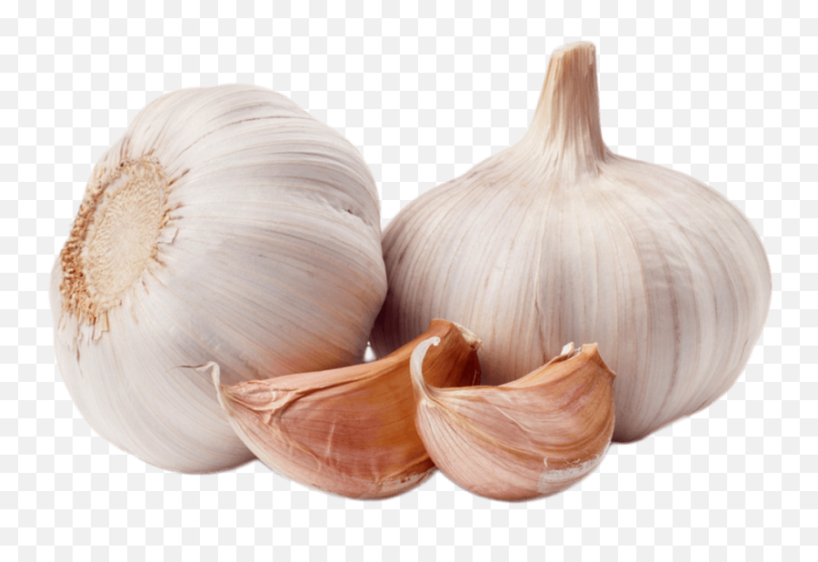 Garlic Sticker - Garlic Clipart Emoji,Garlic Emoji