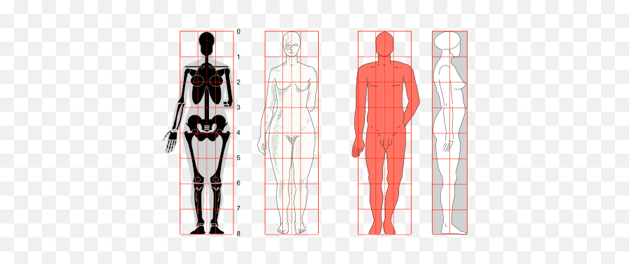 Drawing - Human Proportions Transparent Emoji,Emotion Sketches Grid