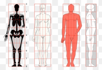 Drawing - Human Proportions Transparent Emoji,Emotion Sketches Grid