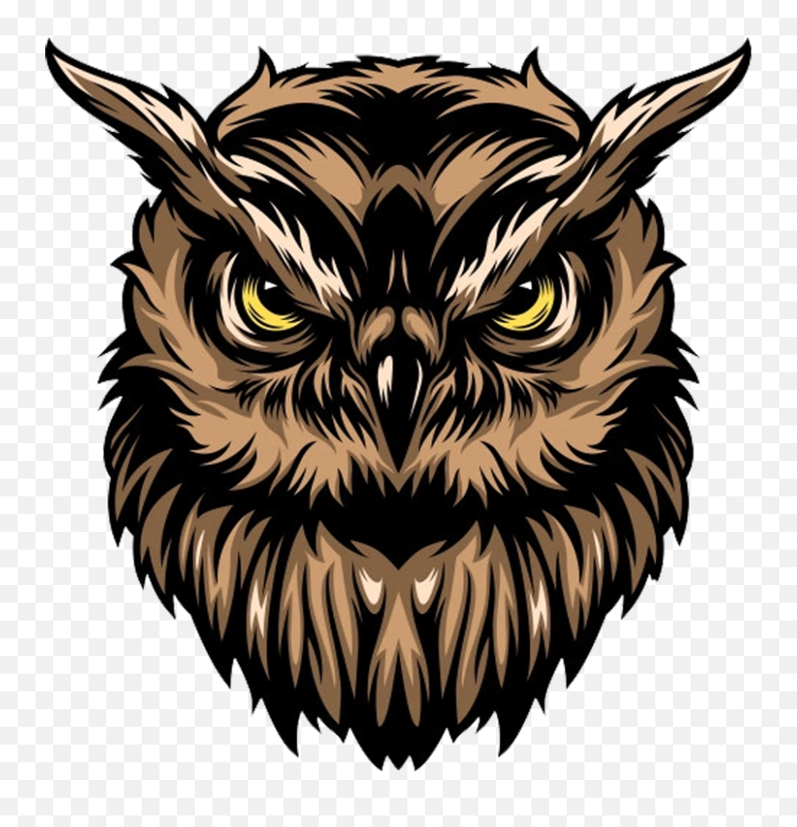 Wgmi Owls Emoji,Owl Emoji