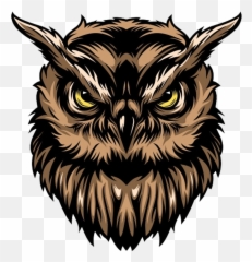 Wgmi Owls Emoji,Owl Emoji