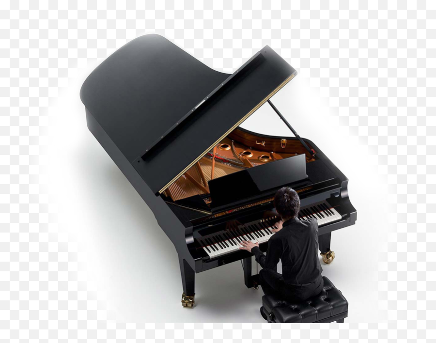 Grand Pianos - Yamaha Grand Piano Brushed Emoji,Emotion Piano Label