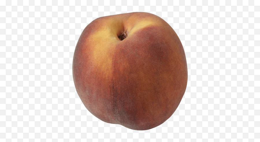 Peach Png And Vectors For Free Download - Dlpngcom Peach Emoji,Peach Emoji Outline